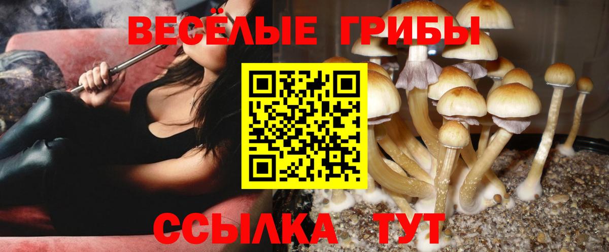 что такое   Псилоцибиновые грибы мухоморы  Вход с VPN  Псилоцибиновые грибы ЛСД  Екатеринбург 